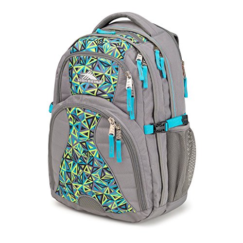 High Sierra Swerve Backpack