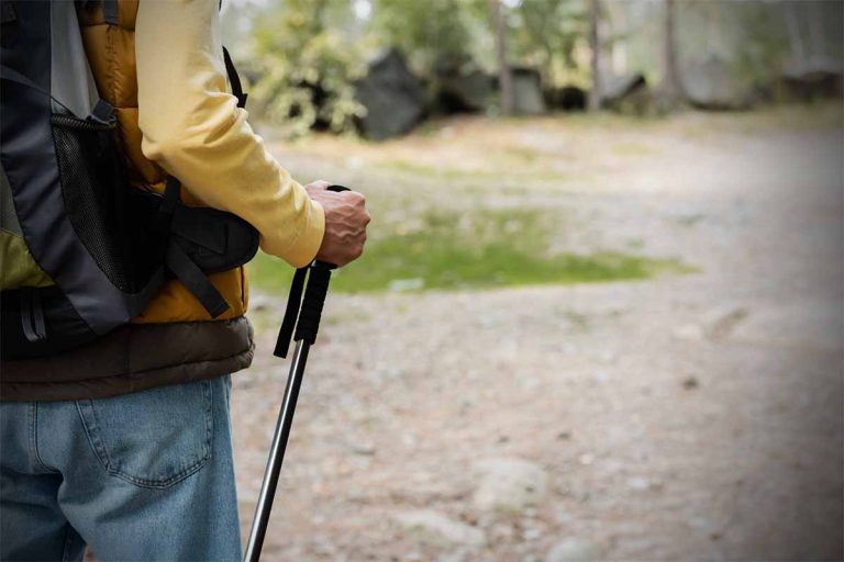 Best Beginner Hiking Trails in Northern California