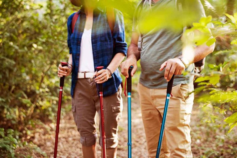 Close-up of hikers on forest