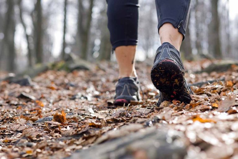 Best Beginner Hiking Trails in Bay Area