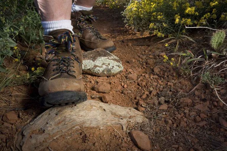 Hiking Boots vs Trail Shoes: What Beginners Over 50 Actually Need