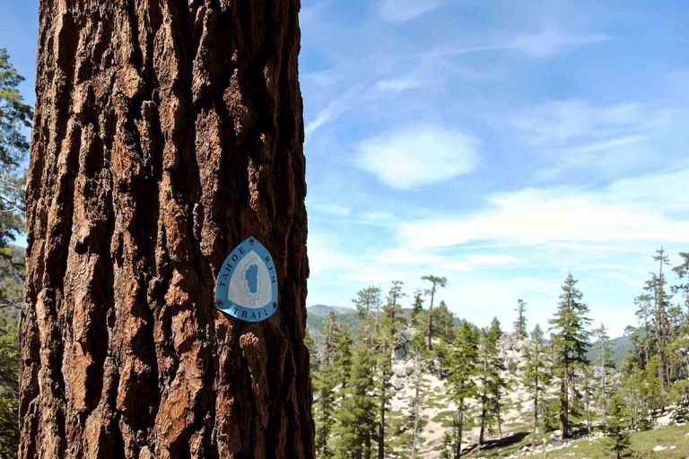 California Hiking Safety: Heat, Fire, and Wildlife