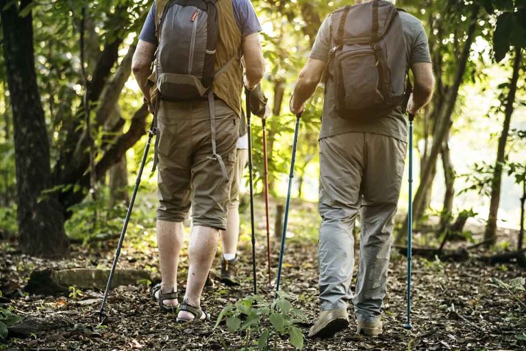 Best Beginner Hiking Trails in Southern California
