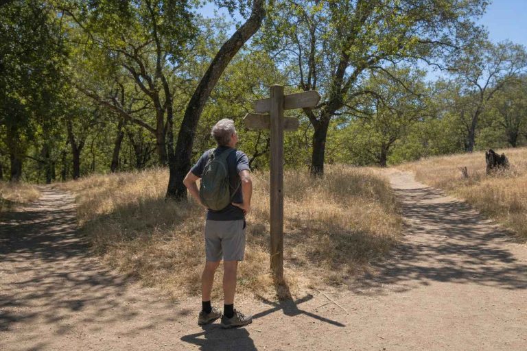 A hiker in his sixties pauses at a trail junction to check a wooden directional signpost